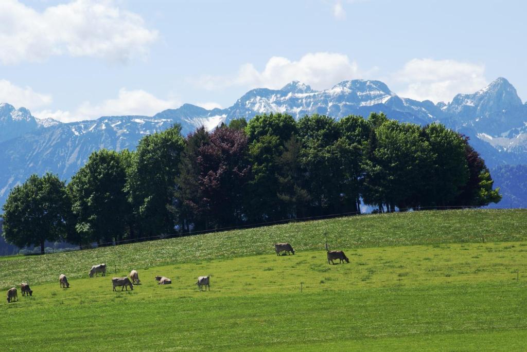 Landhaus Grobert Seeg Zewnętrze zdjęcie