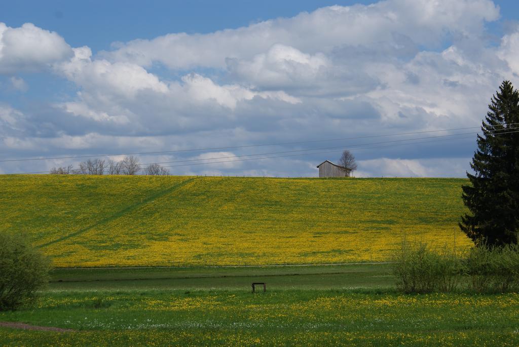 Landhaus Grobert Seeg Zewnętrze zdjęcie
